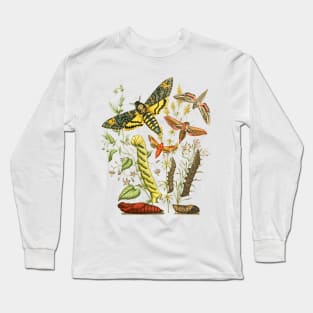 Hawk Moth Caterpillar Vintage Scientific Entomology Butterfly Natural History Long Sleeve T-Shirt